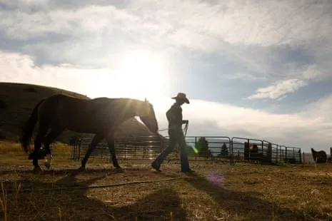 Get to Know the US Female Ranchers Reshaping Modern Farm Life